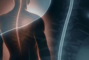 Reprogramación Espiritual de la Columna Vertebral